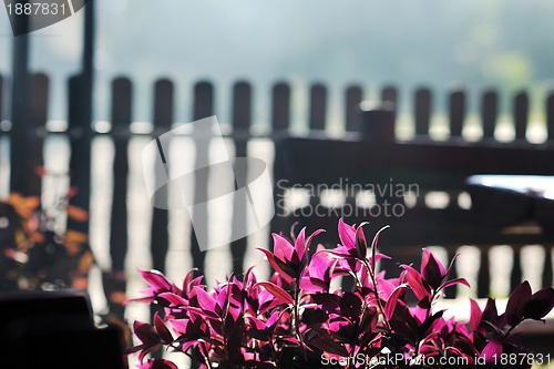 Image of colorful balcony with flowers