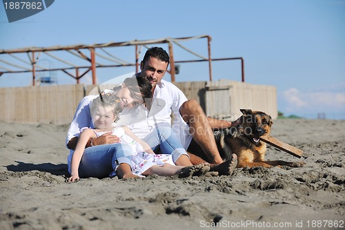 Image of happy family playing with dog on beach