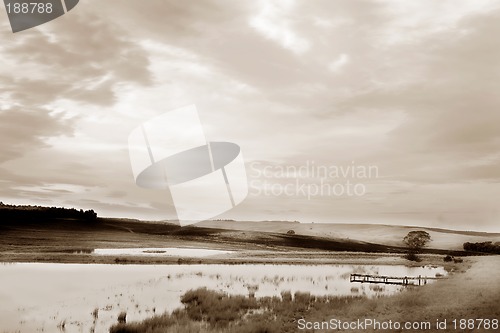 Image of Flyfish #40