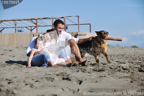 Image of happy family playing with dog on beach