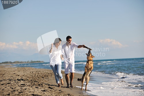 Image of happy family playing with dog on beach