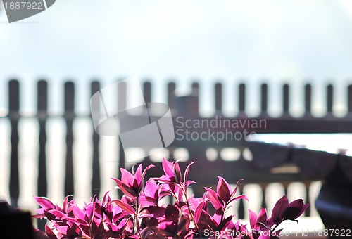 Image of colorful balcony with flowers