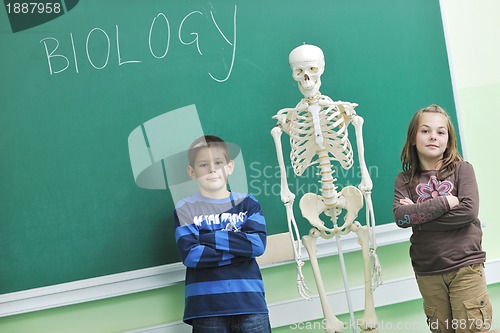 Image of learn biology in school