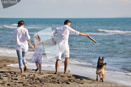 Image of happy family playing with dog on beach