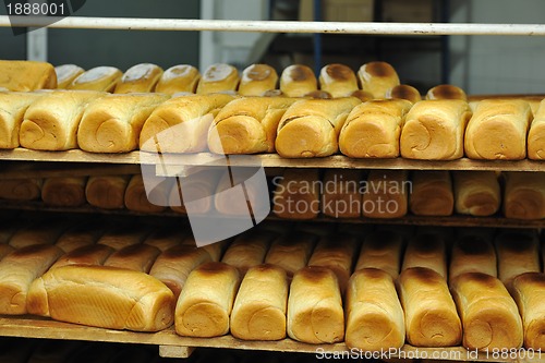 Image of bread factory production