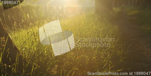 Image of sunrise in beautiful alley 