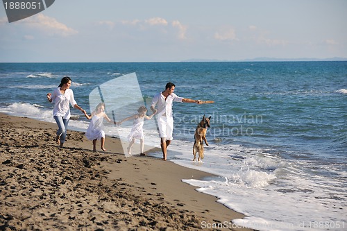 Image of happy family playing with dog on beach