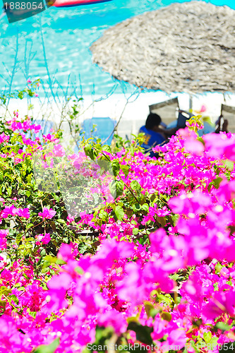 Image of romantic balcony with flowers and pool view