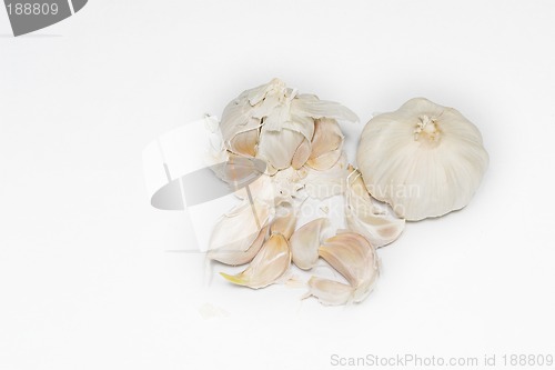 Image of Garlic #1