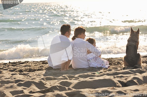 Image of happy family playing with dog on beach