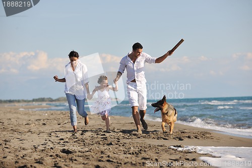 Image of happy family playing with dog on beach