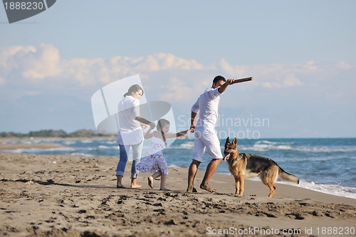 Image of happy family playing with dog on beach