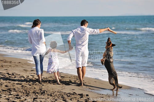 Image of happy family playing with dog on beach