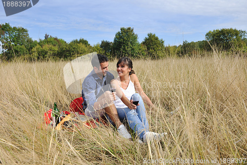 Image of happy couple enjoying countryside picnic in long grass