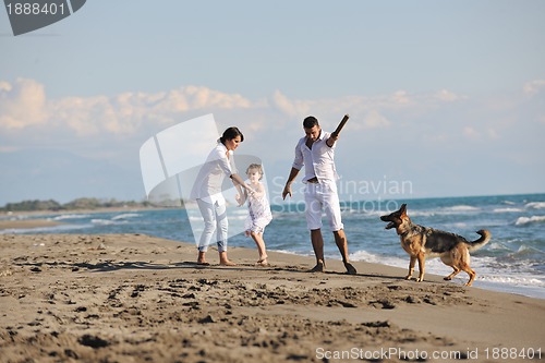 Image of happy family playing with dog on beach
