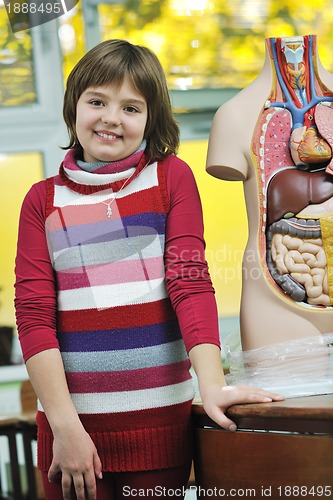 Image of learn biology in school