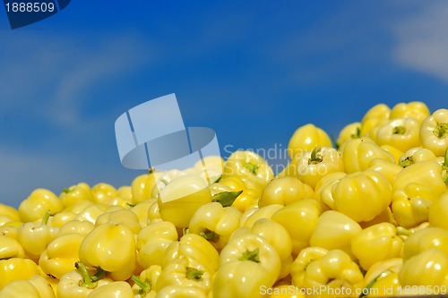 Image of fresh organic food peppers