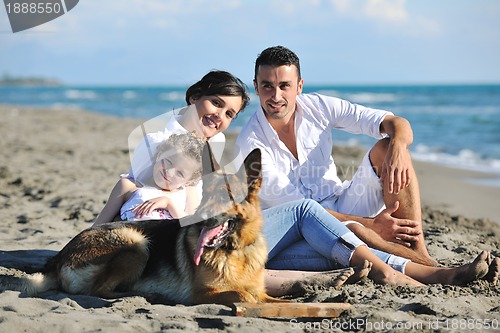 Image of happy family playing with dog on beach