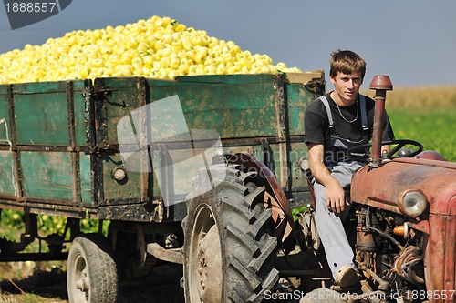 Image of agriculture worker with fresh vegetables