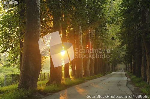 Image of sunrise in beautiful alley 