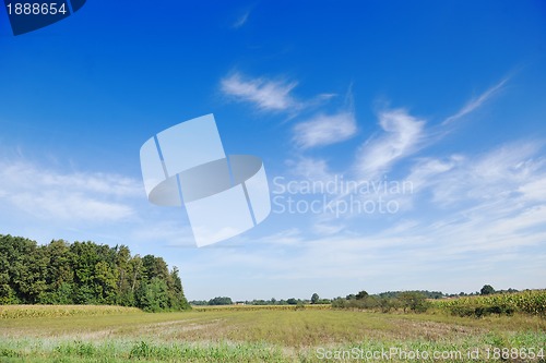 Image of countrysice nature landscape