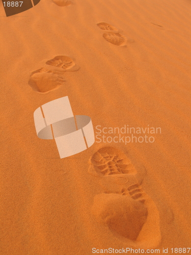 Image of Footsteps in the desert