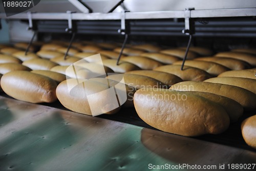 Image of bread factory production