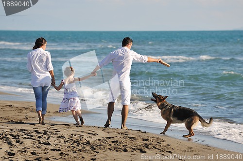 Image of happy family playing with dog on beach