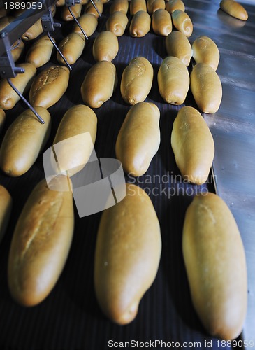 Image of bread factory production