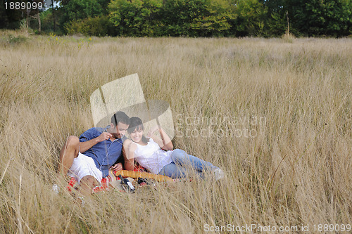 Image of happy couple enjoying countryside picnic in long grass