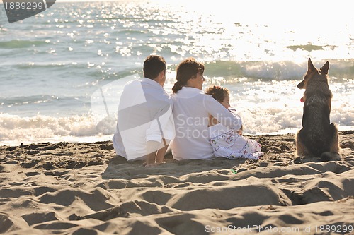 Image of happy family playing with dog on beach