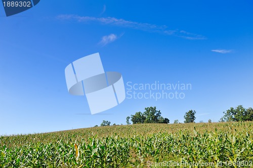 Image of countrysice nature landscape