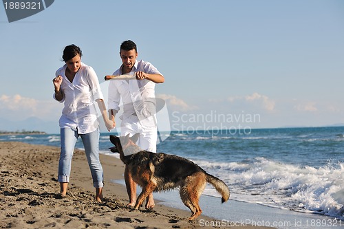 Image of happy family playing with dog on beach