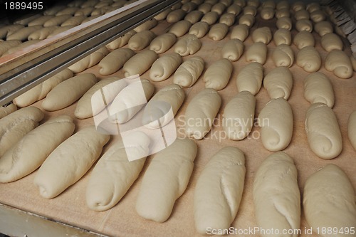 Image of bread factory production