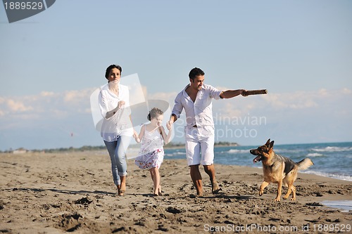 Image of happy family playing with dog on beach