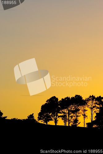 Image of silhouette #3