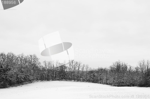 Image of Snow Landscape #3