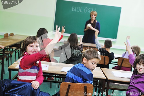 Image of learn biology in school