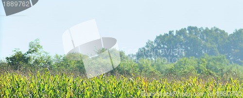 Image of countrysice nature landscape