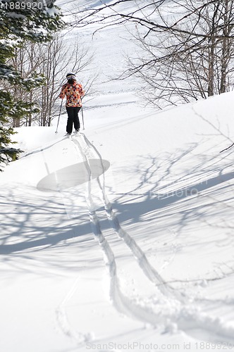 Image of winer woman ski