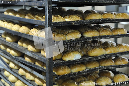 Image of bread factory production