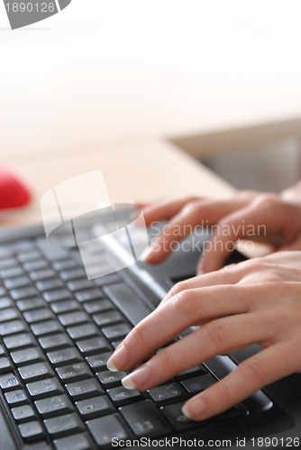 Image of woman hands typing on laptop keyboard