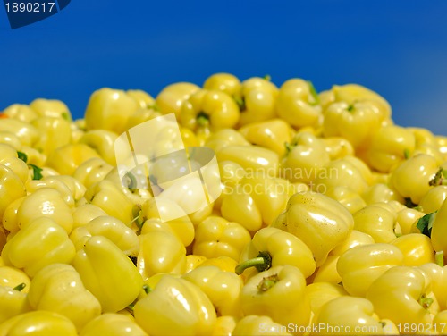 Image of fresh organic food peppers