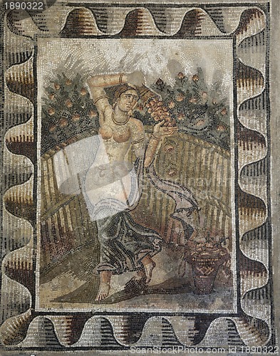 Image of mosaic