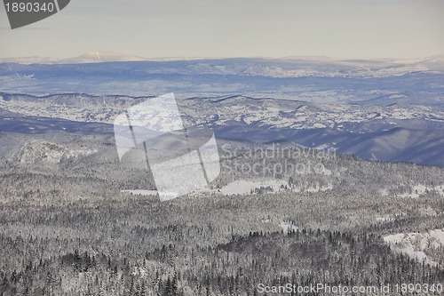 Image of winter landscape