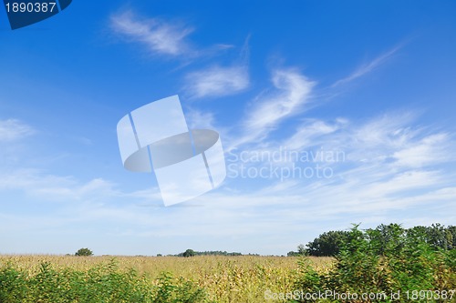 Image of countrysice nature landscape