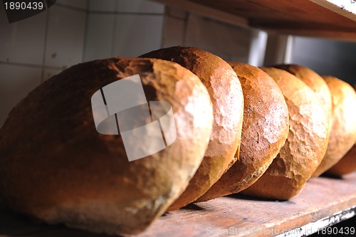 Image of bread factory production