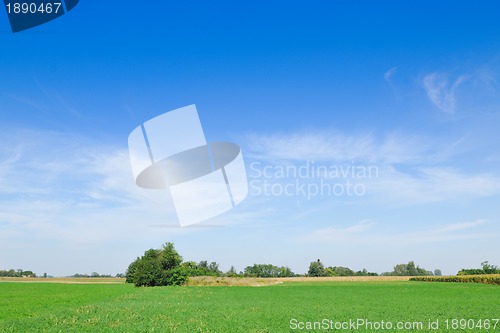 Image of countrysice nature landscape