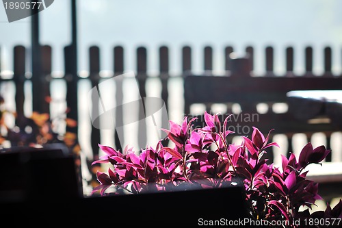 Image of colorful balcony with flowers