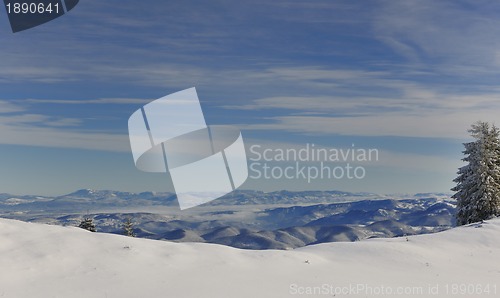 Image of winter landscape